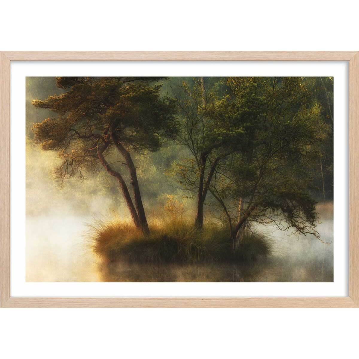 Affiche Ilôt et lac en automne Affiche + cadre en bois - Chêne