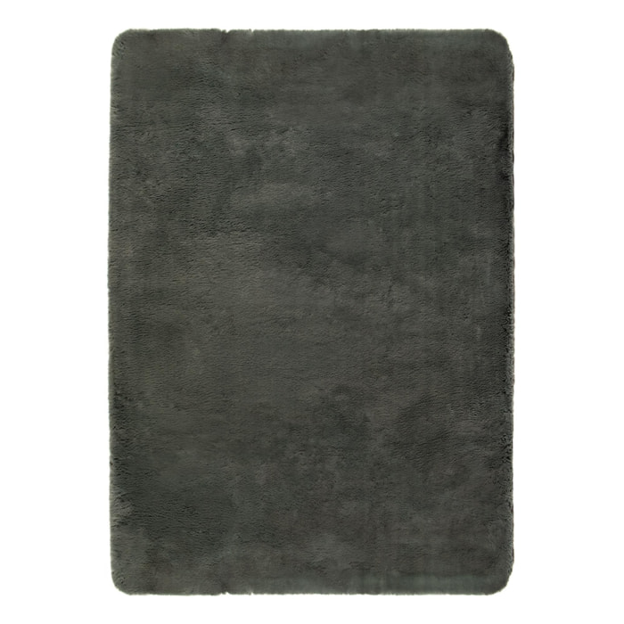 Tapis Eddy
