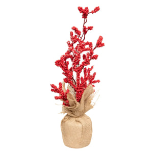 COMPO BAIES RGE BASE JUTE H38