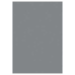 MOSCOU - Tapis uni Gris