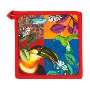 Set Canovaccio Presina e Guanto da Cucina Excelsa – Rhapsody, Cotone Multicolore