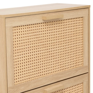 Range-chaussures Drawy 18 paires