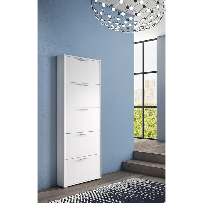 Scarpiera Margherita, Mobile multiuso da ingresso con 5 ante a ribalta, Armadietto portascarpe moderno, 100% Made in Italy, Cm 67x18h184, Bianco