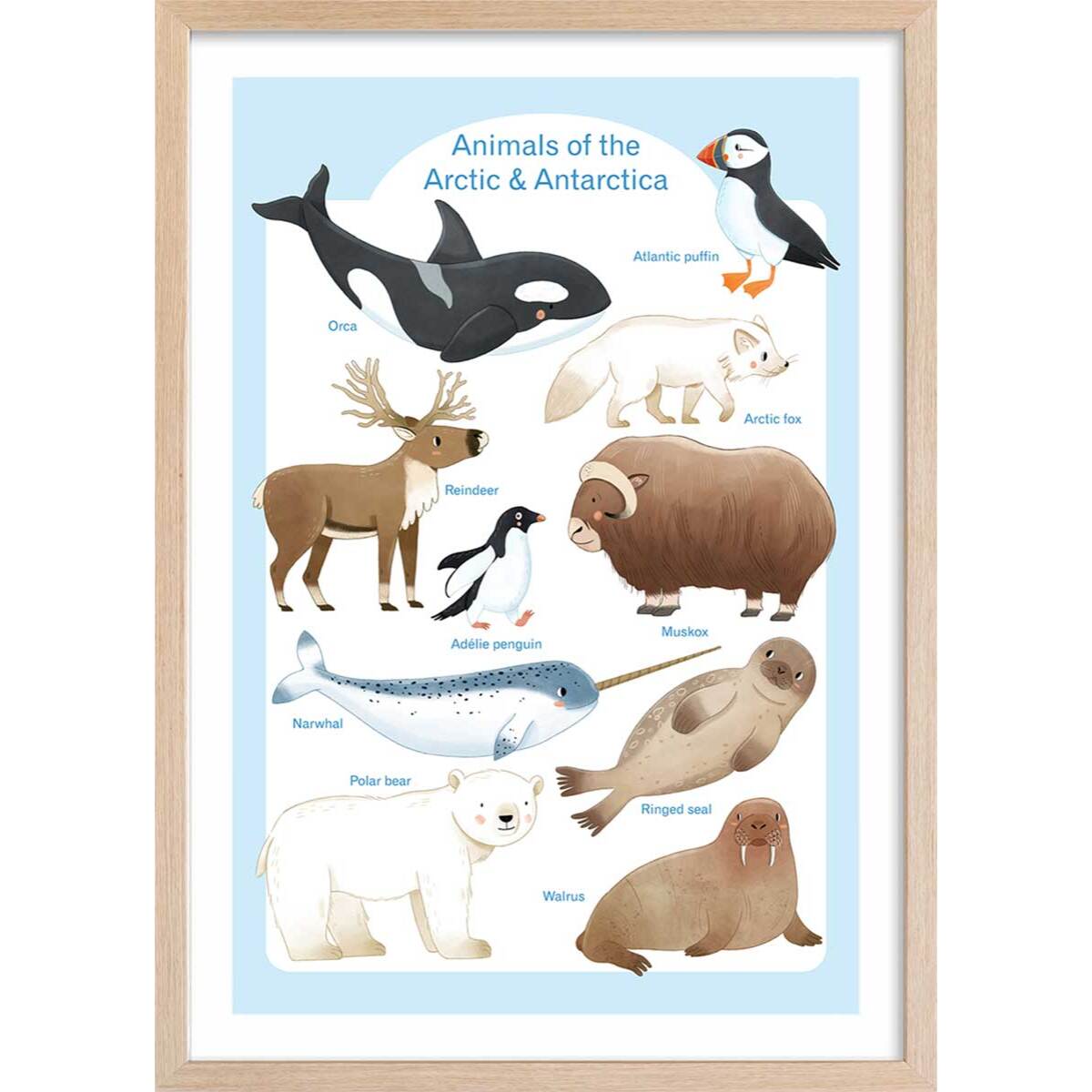 Affiche enfant animaux polaires  Affiche sous cadre bois