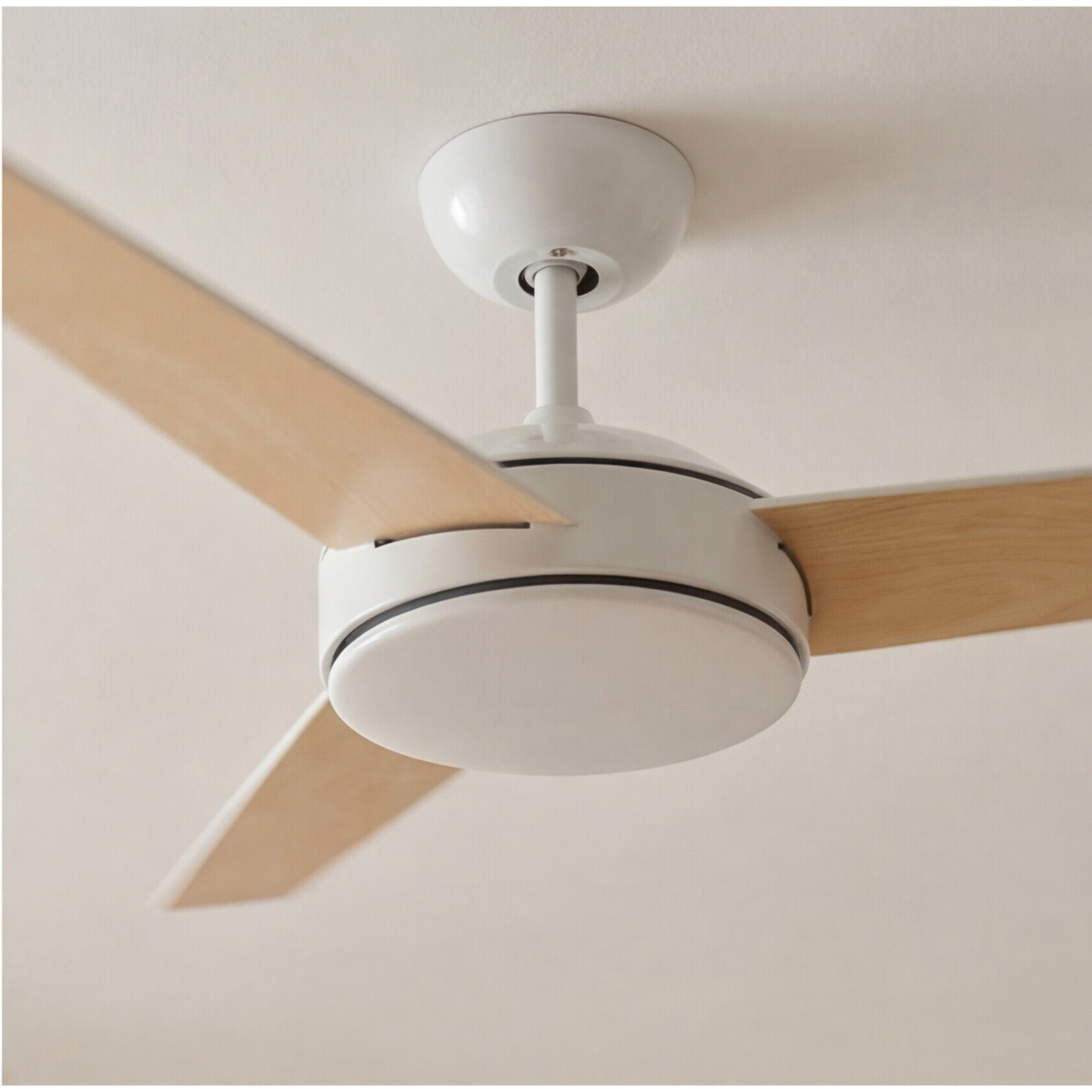 Forlight Ventilador IP20 Windy Blanco Blanco