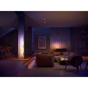 Ruban LED PHILIPS HUE W&C Lightstrip Gradient extension 1M