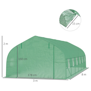 Invernadero de Jardín 800x300x200 cm Tipo Túnel para Cultivo de Plantas Acero PE