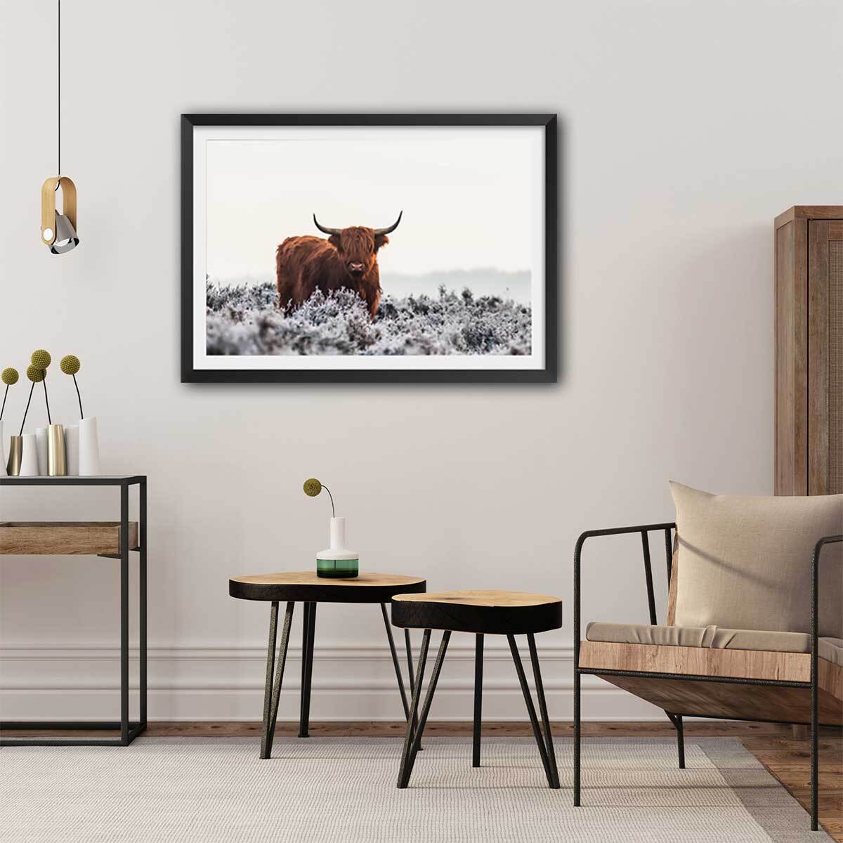 Poster highland sous la neige Affiche + cadre en bois - Noir