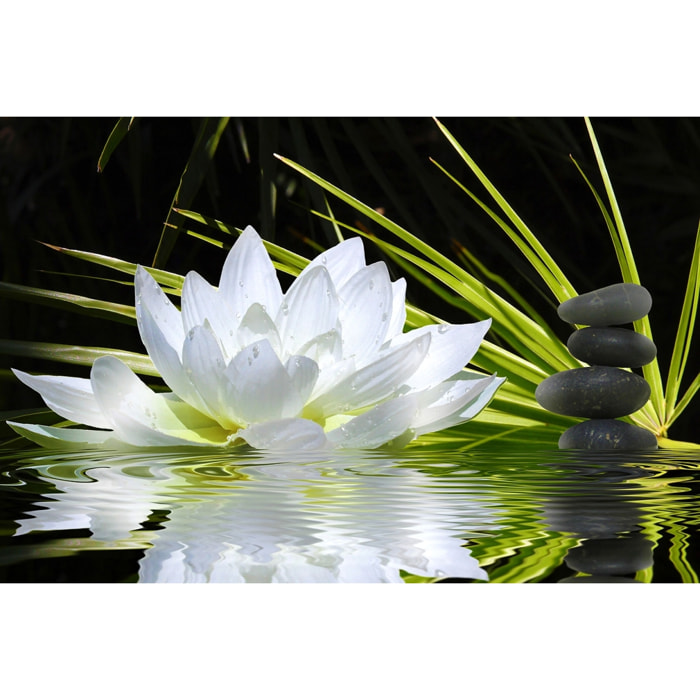 Tableau fleur de lotus et galets Tableau alu Dibond