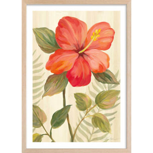 Poster Diamant d'hibiscus Affiche + cadre en bois - Chêne