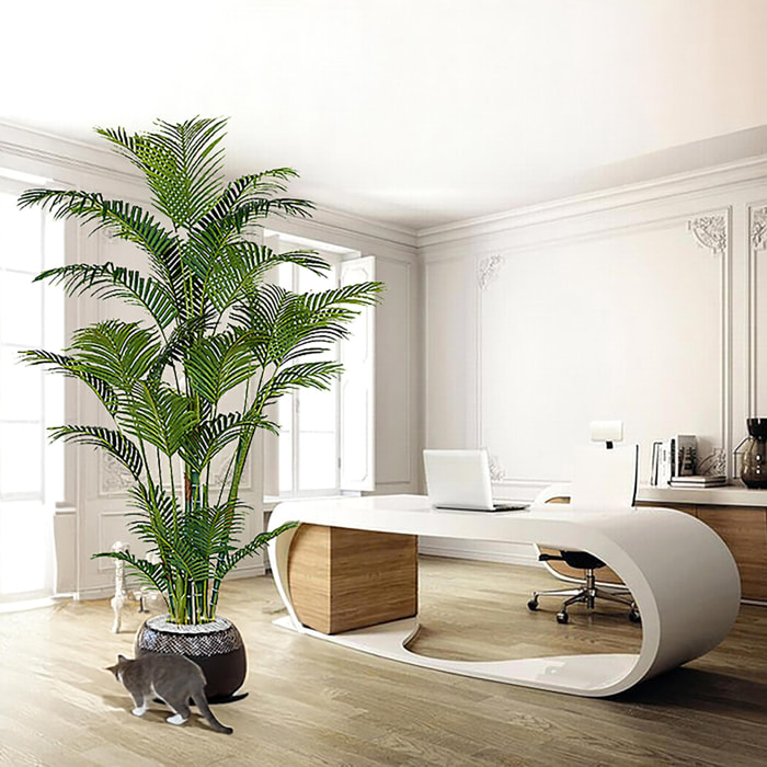 Palma real touch con vaso - Pezzi 1 - Colore: Verde - 115xH210x120cm - Bianchi Dino