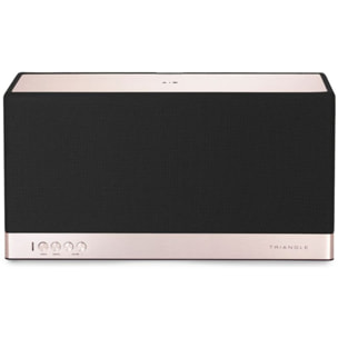 Enceinte résidentielle TRIANGLE AIO 3  Noir