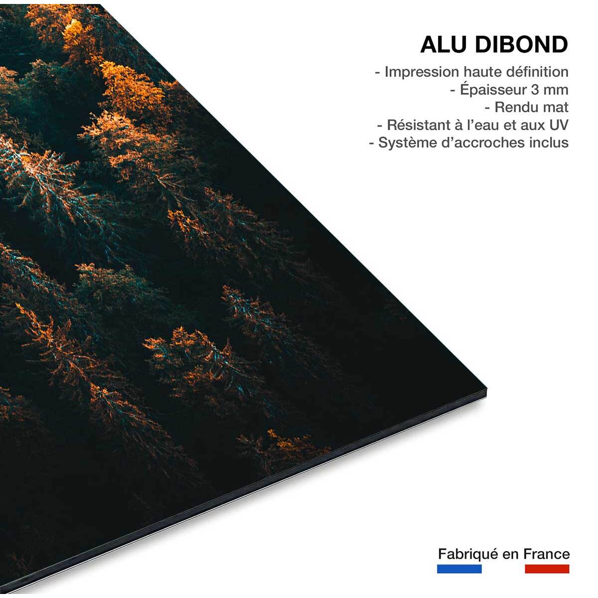 Tableau couleur d'automne en haute savoie Tableau alu Dibond