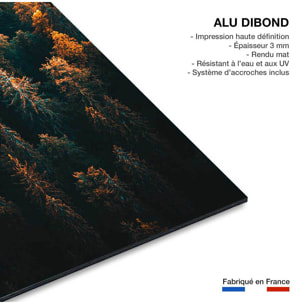 Tableau couleur d'automne en haute savoie Tableau alu Dibond
