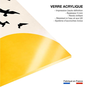 Tableau dessin ailes au soleil Tableau plexiglas