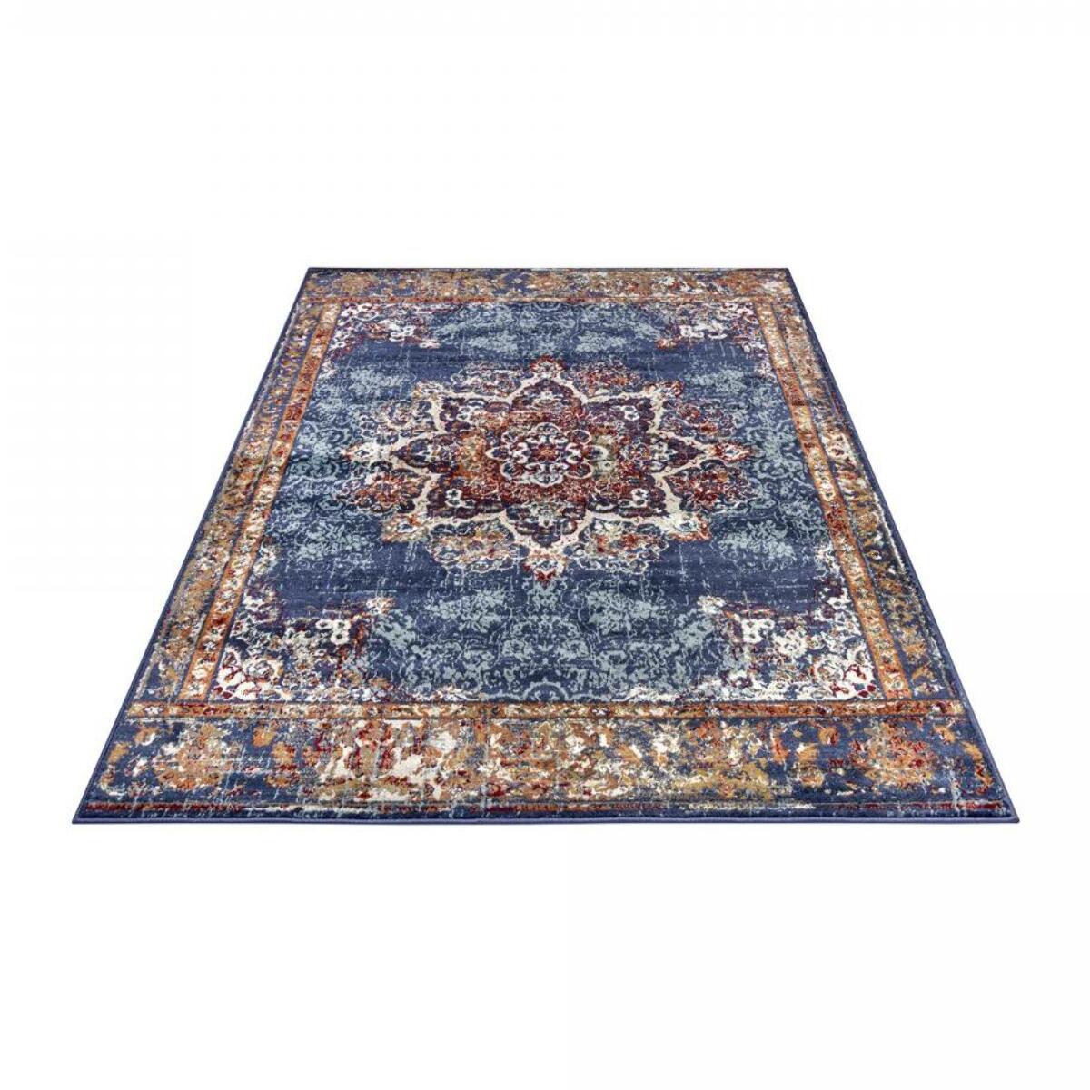 Tapis salon Rectangulaire Oriental