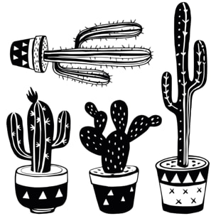 Stickers muraux | Sticker Mural Autocollant - BOHÈME 4 CACTUS MEXICAIN - adhésifs fond transparent