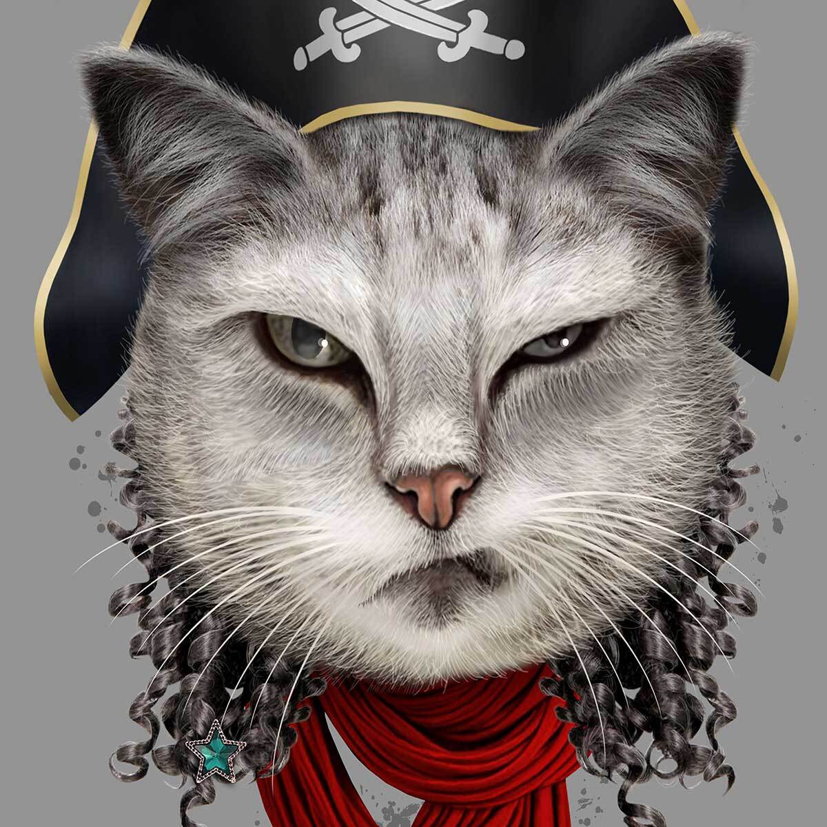 Affiche enfant chat pirate  Affiche + cadre en bois - Noir