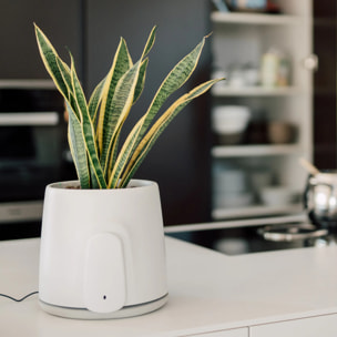 Natede Smart, purificatore d'aria naturale con sistema di monitoraggio