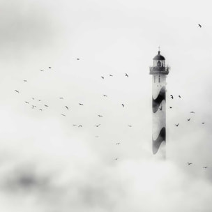 Affiche phare dans le brouillard Affiche sous cadre bois
