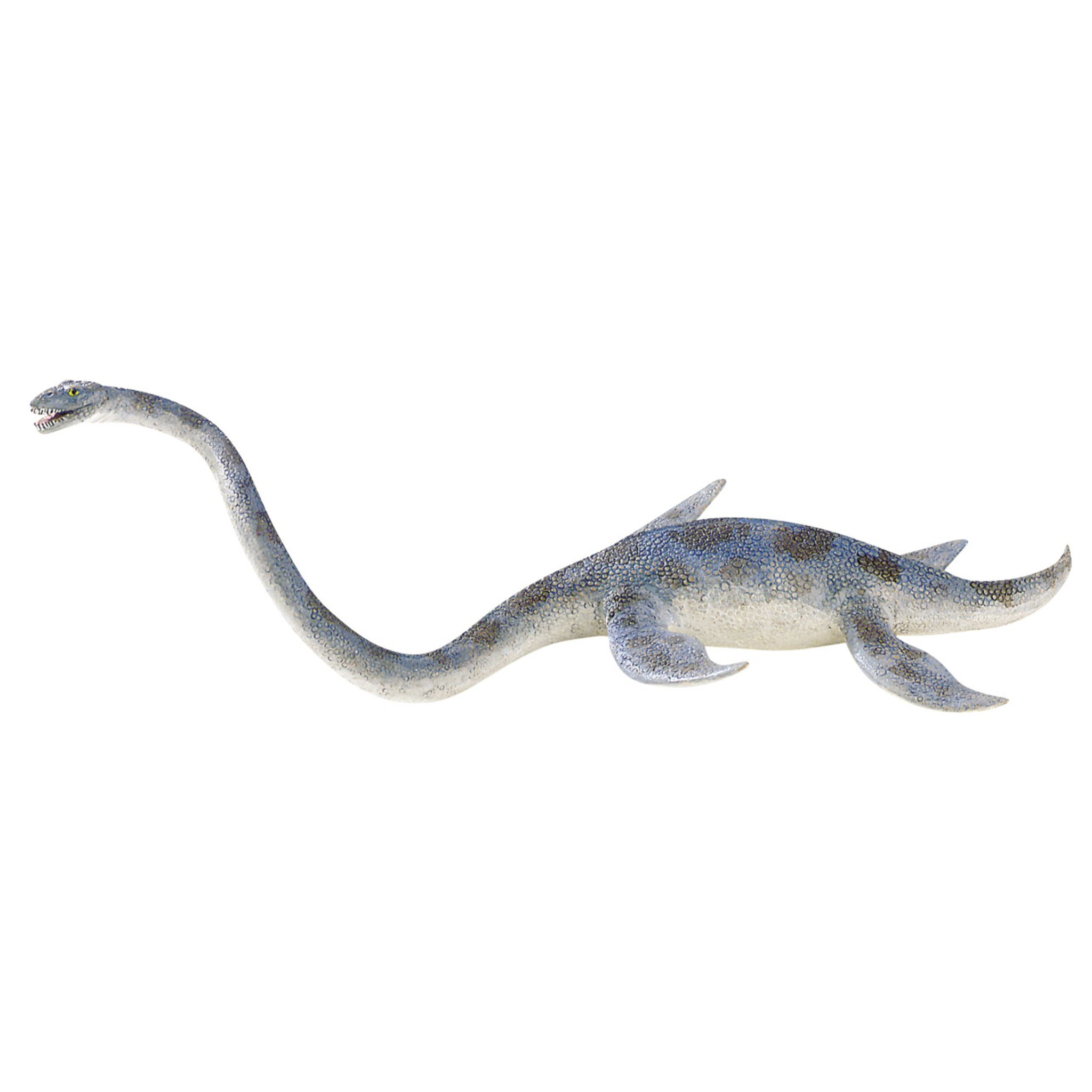 Dinosauri/Elasmosauro Linea Museo Naturale