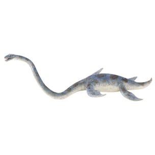 Dinosauri/Elasmosauro Linea Museo Naturale