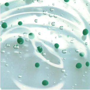 Forticea  - Shampoing Fortifiant Revitalisant