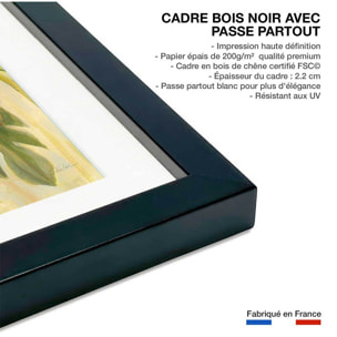 Poster Fleurs corail Affiche sous cadre noir