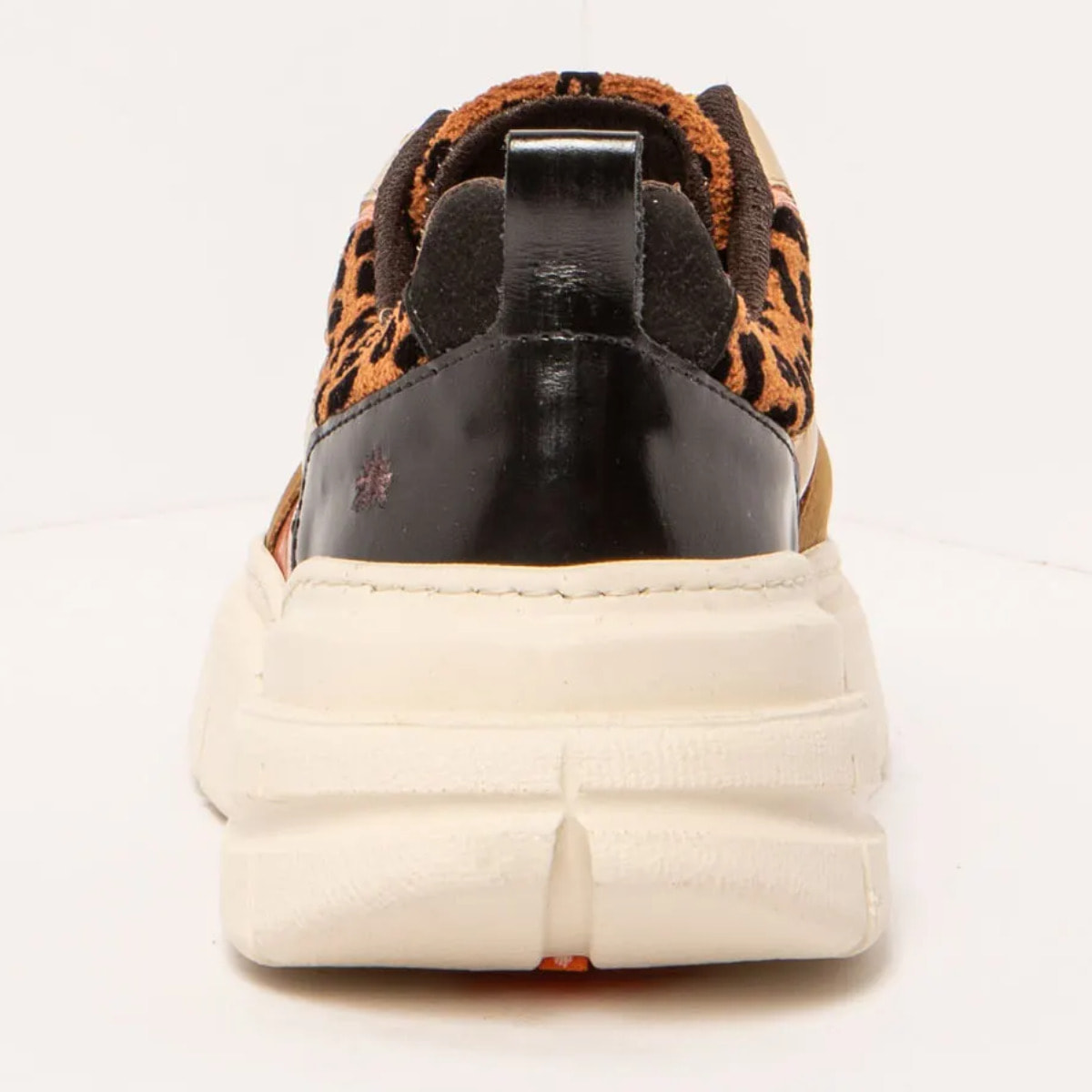 Zapatos 1635 MULTI JAGUAR / ATHENS color Multi jaguar