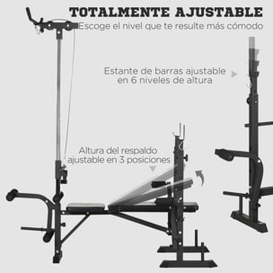 Banco de Pesas Multifuncional Banco de Musculación Ajustable en 6 Posiciones para Entrenamiento de Cuerpo Completo en Gimnasio Casa Carga 150 kg 180x134x200 cm Plata y Negro