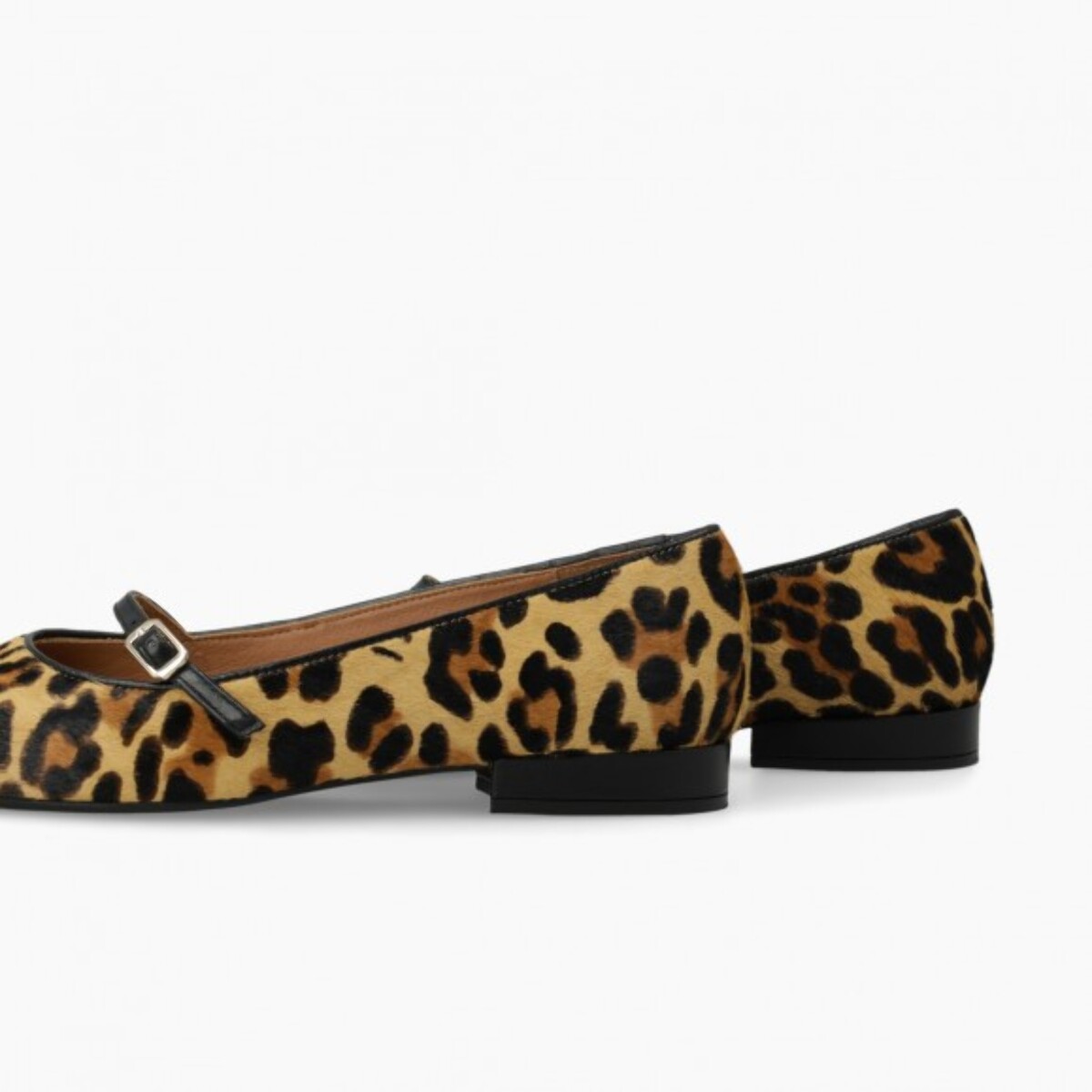 BAILARINAS ANIMAL PRINT AMB5042INO