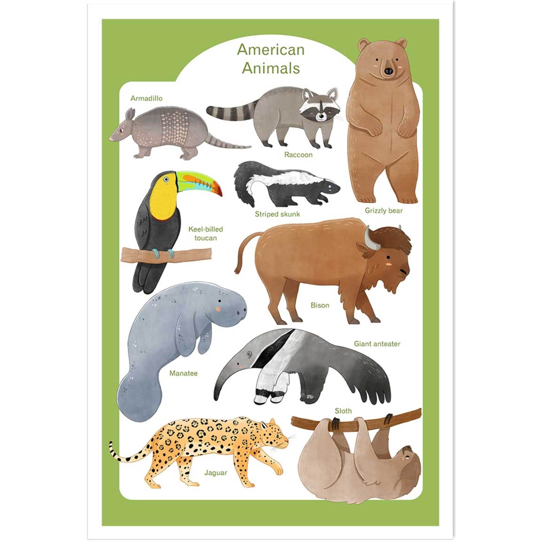 Affiche enfant animaux d'amérique  Affiche seule