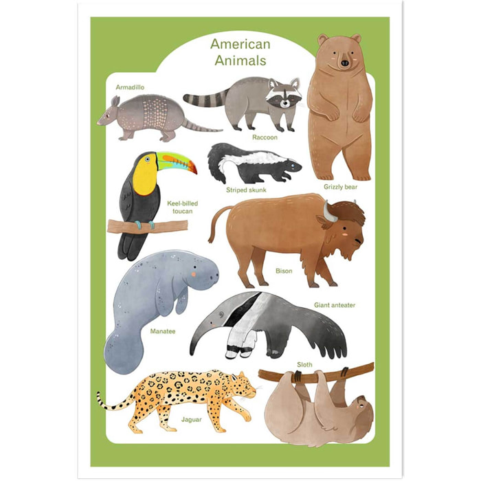 Affiche enfant animaux d'amérique  Affiche seule