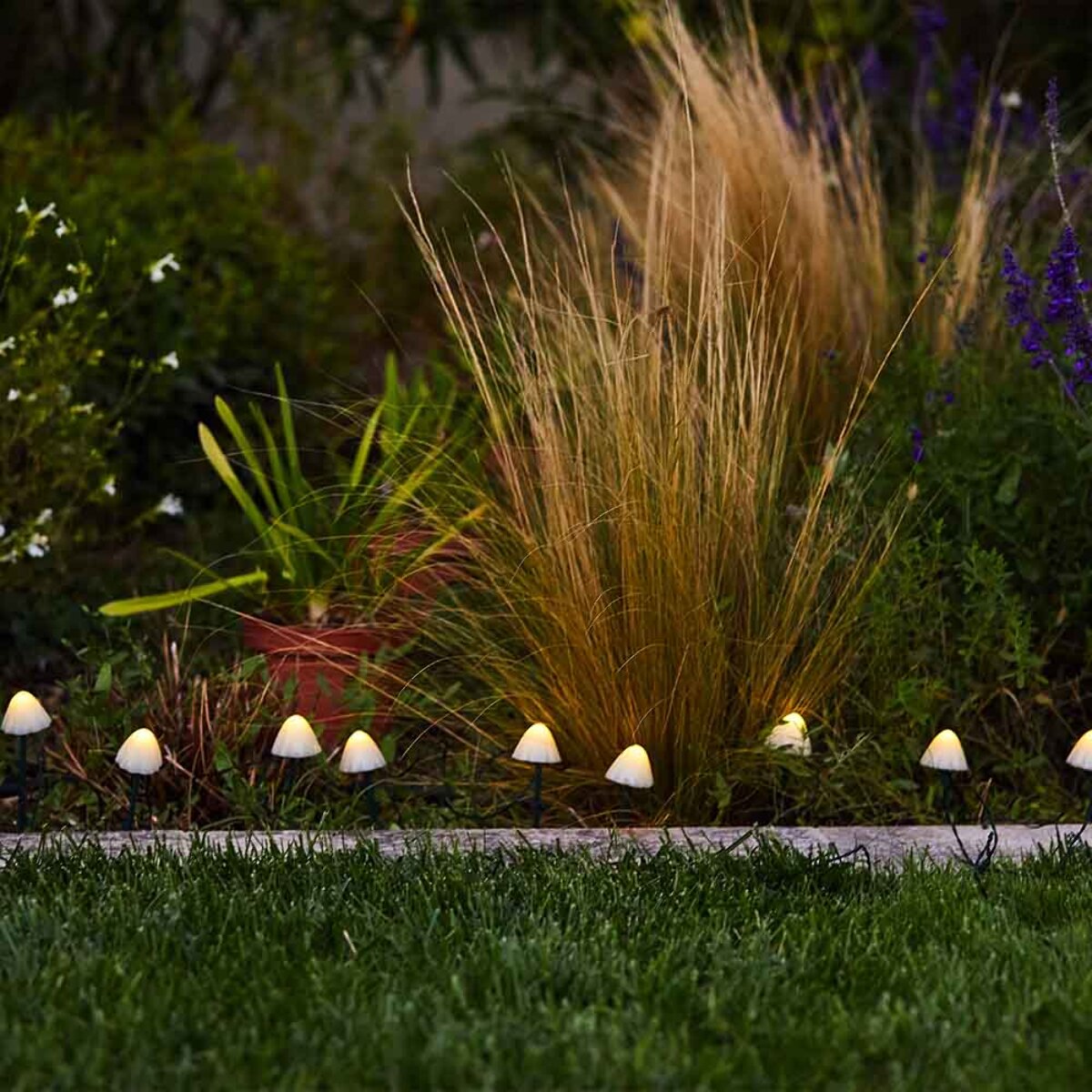 10 Champignon solaire CHAMPY 3.8M