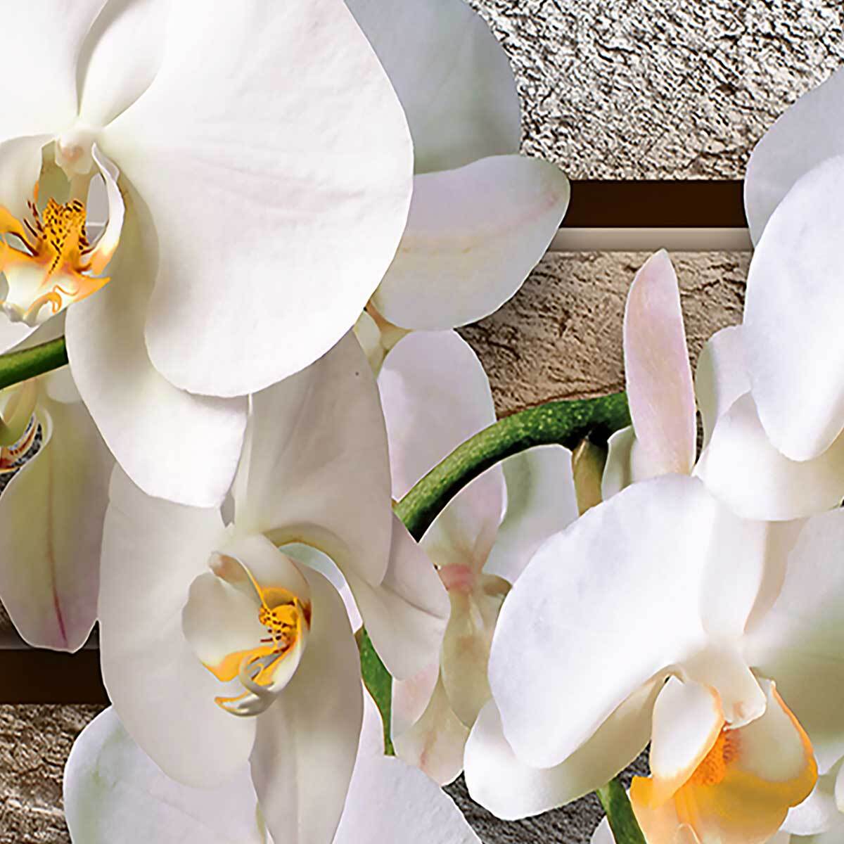 Tableau graphique fleurs d'orchidées - 80x50 cm Toile imprimée