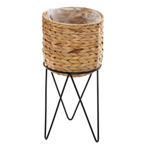Set de 2 pots "Hya" jacinthe d'eau