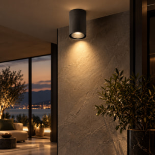 ARGO Lampada da soffitto Titanio