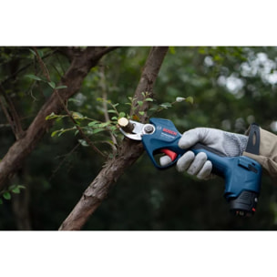 Élagueur sans fil Pro Pruner GGP 12V-25 Professional avec 2 Batteries + 1 Chargeur - BOSCH - 06008D8100