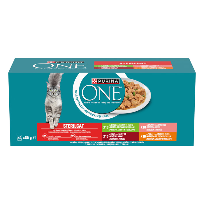 PURINA ONE Chat Stérilisé Multivariétés 40x85g