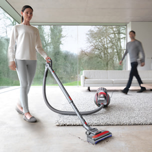 Aspirateur traineau Dyson Cinetic Big Ball Absolute 2