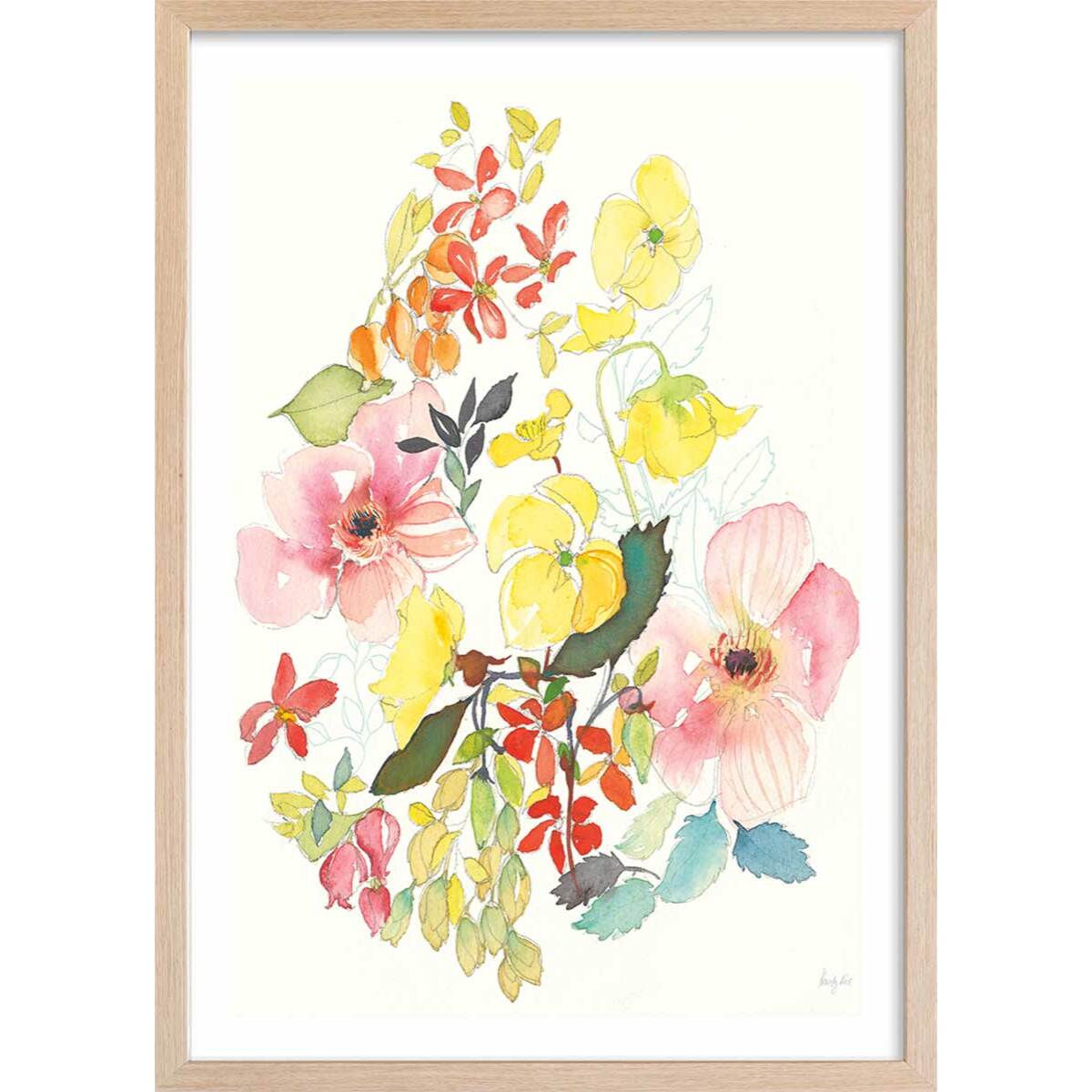 Affiche fleurs Boutons d'or Affiche + cadre en bois - Chêne