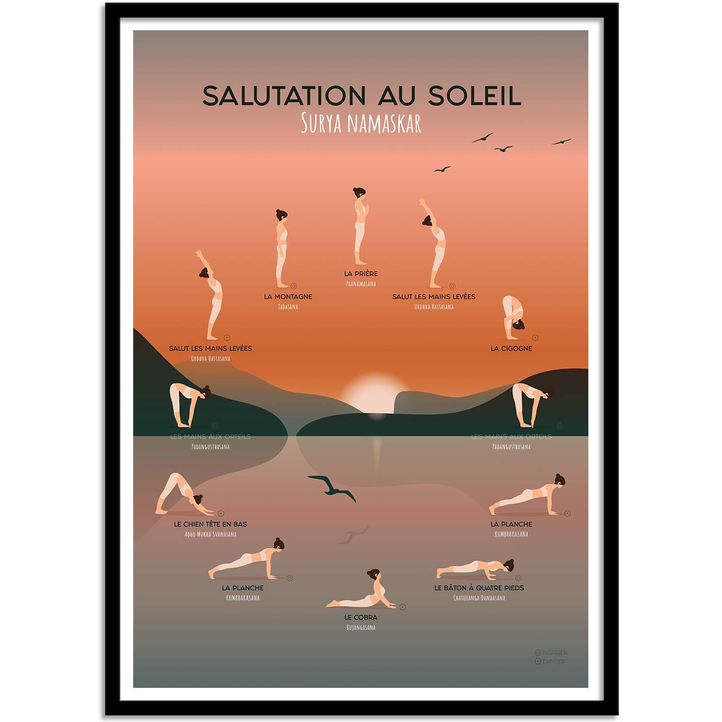 Affiche - Yoga Salutation au soleil - Frog Posters