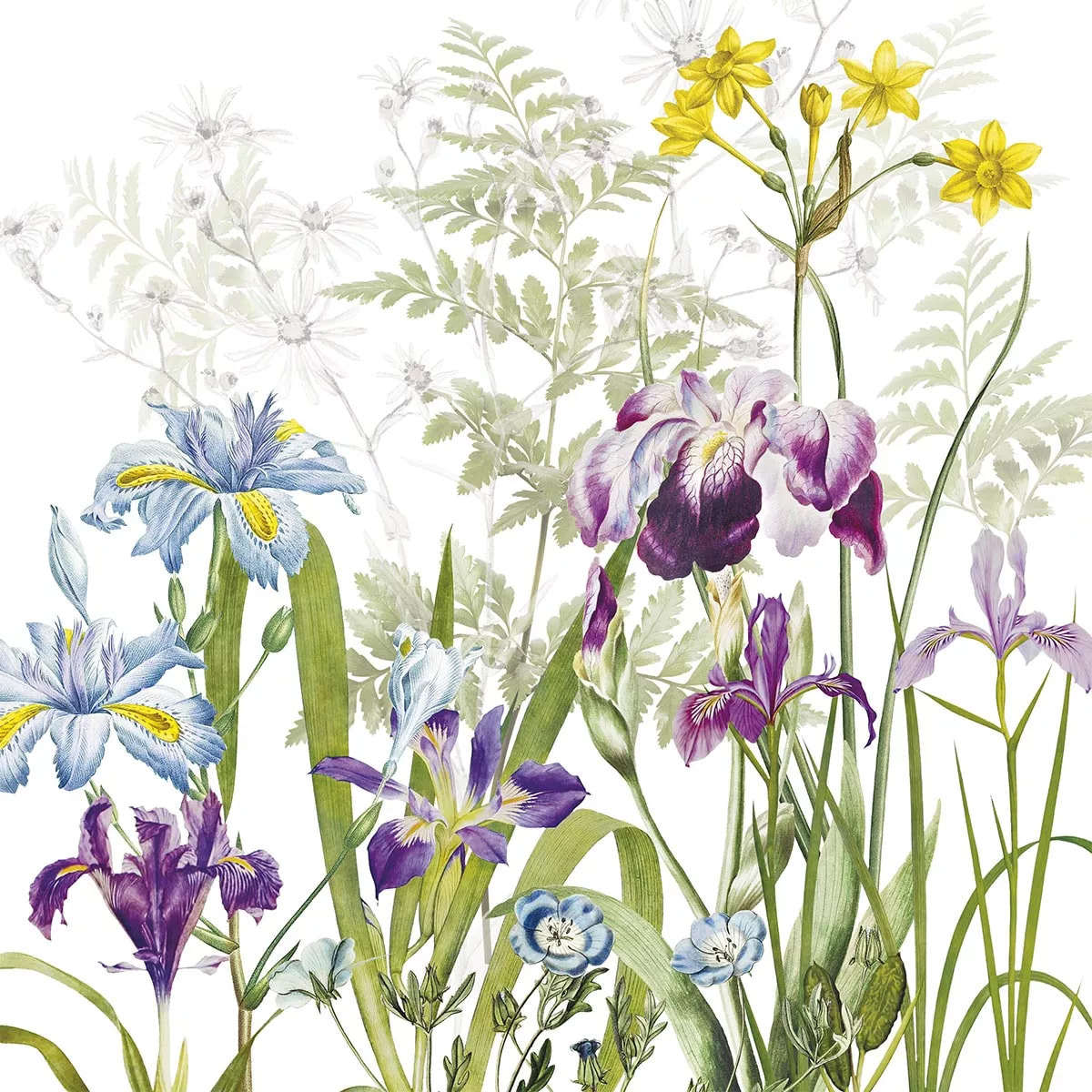 Serviette lin & coton lavé 190 g/m² imprimé multicolore Iris d'hiver blanc
