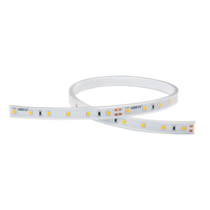 Ledsc4 LedsC4 - Tira LED RGB 4,8W, Eficiencia Energética, Uso Interior/Exterior, 10mm, Alta Calidad, Fácil Instalación, Versátil para Proyectos Técnicos y Decorativos