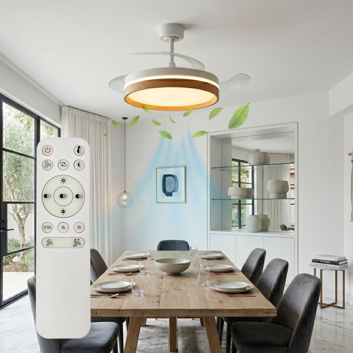 Ventilateur Plafond LED CALYSA D106CM