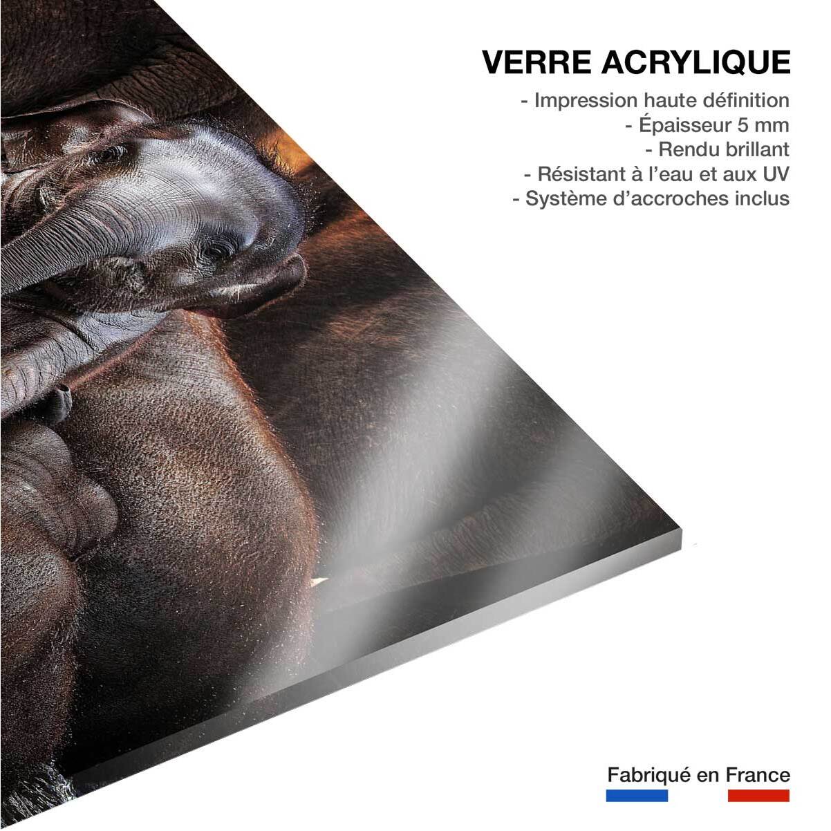 Tableau éléphant petit prince Tableau plexiglas