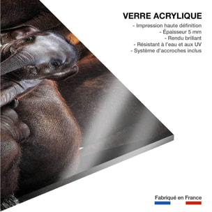 Tableau éléphant petit prince Tableau plexiglas