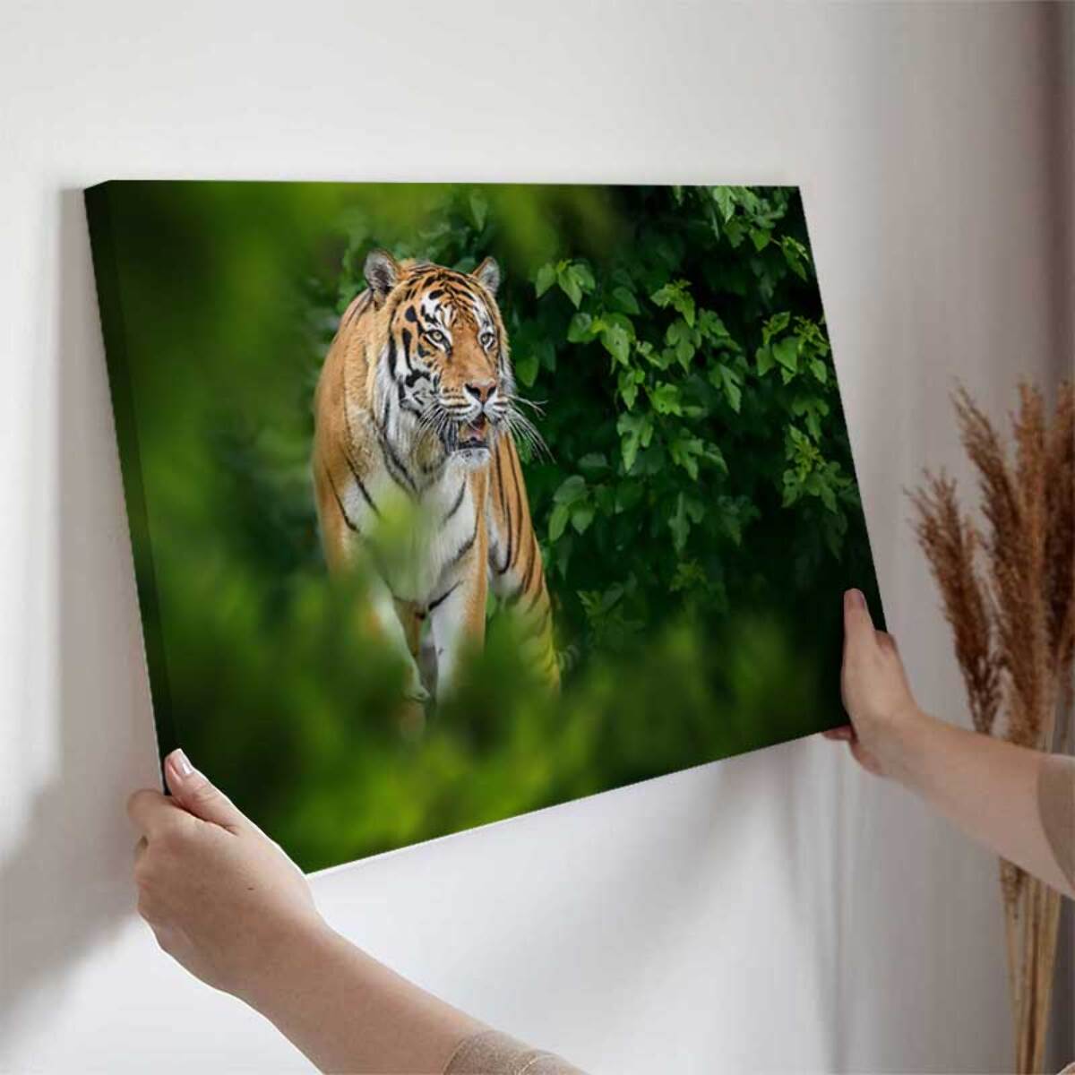 Tableau tigre majestueux dans la jungle Toile imprimée