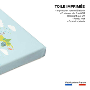 Tableau world map and animals Toile imprimée