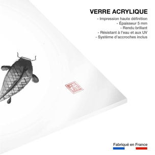 Tableau dessin carpes koï Tableau plexiglas